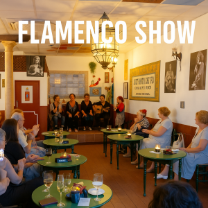 FLAMENCO SHOW